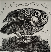 COOL RETRO MID CENTURY H&R