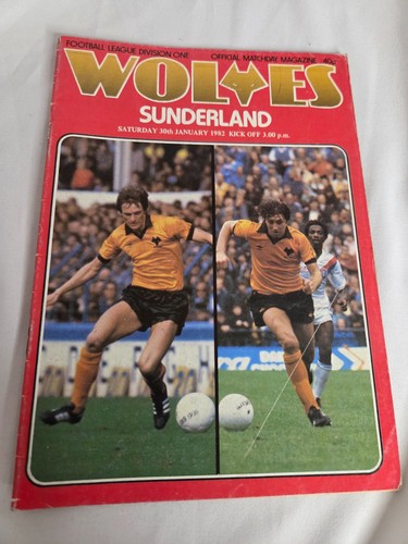 Wolverhampton wanderers wolves - wanderers,