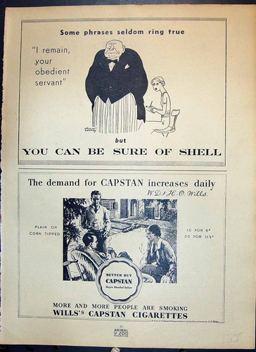 Old shell wills capstan - wills's,