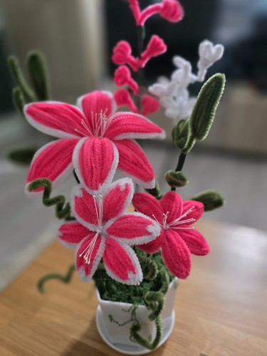 Everlasting bright pink lily - everlasting,