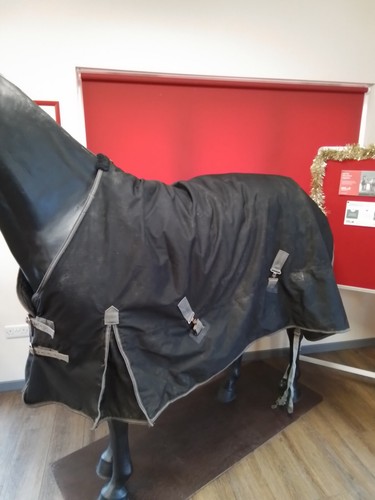 Black rhinegold turnout rug - rhinegold,