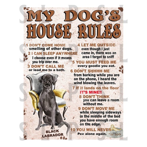 Black labrador dog house - black,