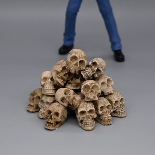 Scale skull and - 1/12, bones