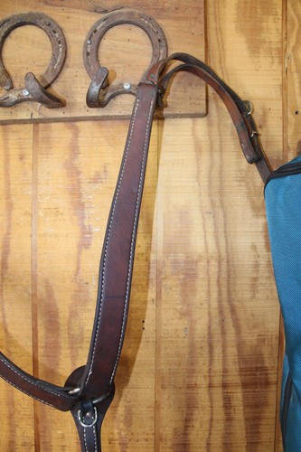 Western brown leather - leather, horse