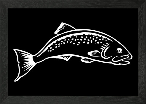 Salmon framed wall art poster - wall,