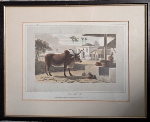 Antique 1809 william daniell - antique,