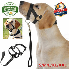 Halti Headcollar Non Pull Dog