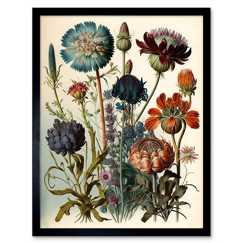 Vintage botanical illustration - vintage,