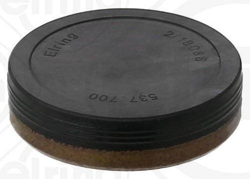 Cam shaft plug - cam,