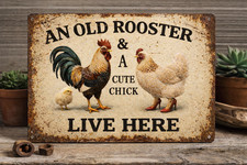 An Old Rooster & A Cute Chick