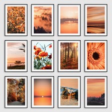 Orange Terracotta Botanical