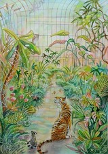 Kay Dawson watercolours A3