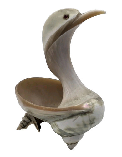 Unusual rare sea shell crane - rare,