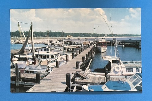 Gulfport mississippi charter - gulfport,