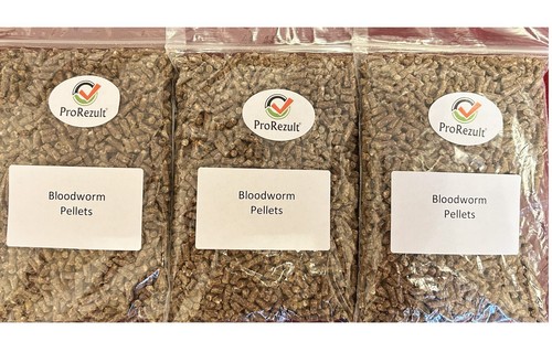 Bloodworm fish food pellets - fish,