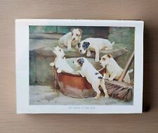 Vintage 1930s Wire Haired Fox Terrier Puppies Tin Bath Dog Book Print Picture 