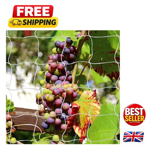 Plant support climbing - support,