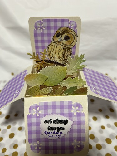 Handmade owl popup - popup, luxury