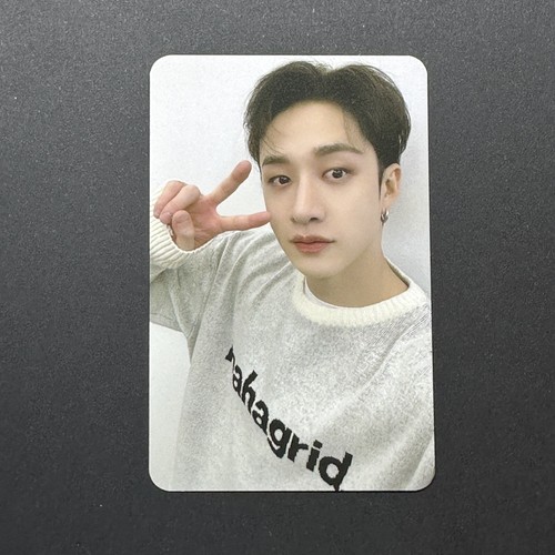 Stray kids bang chan mahagrid - stray,