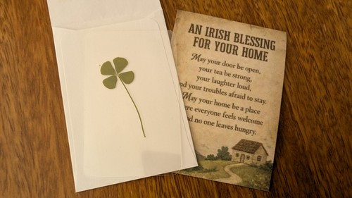Four leaf clover and - leaf,