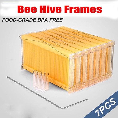 Comb hive frame beehive - frame,