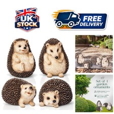 Adorable Hedgehog Garden