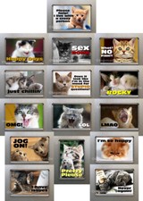 New, Quality Fridge Magnets -