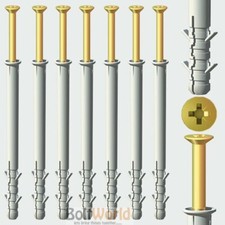 M8 & M10 MASONRY NYLON FRAME FIXING NYLON PLUG & SCREWS VARIOUS LENGTHS