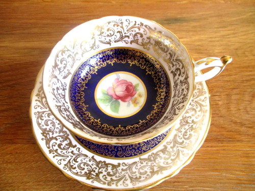 Paragon cabbage rose - paragon,