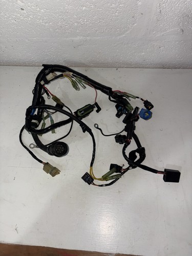 Engine wiring harness 30hp - engine,