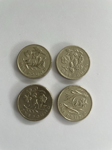 One pound coins - one,