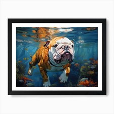 English Bulldog Dog Swimming