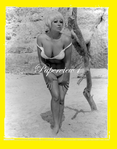 Real photograph 8x10 - photograph, up