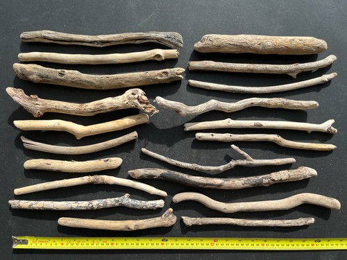 Cornish driftwood pieces - cornish,