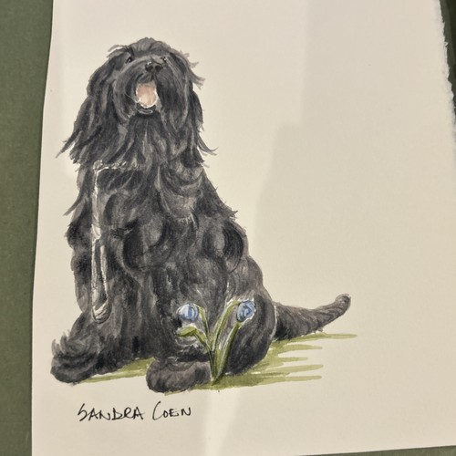 Briard original watercolor by - original,
