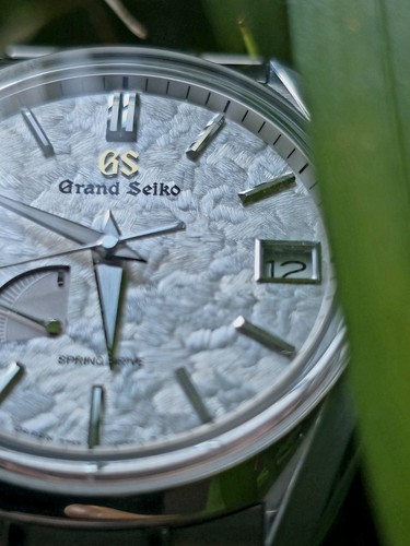 Grand seiko spring - grand,