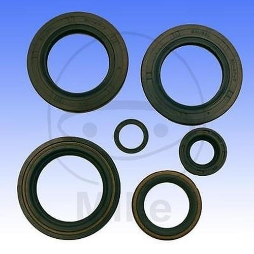 Engine oil seal kit - engine,
