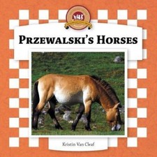 Przewalski's Horses by Cleaf