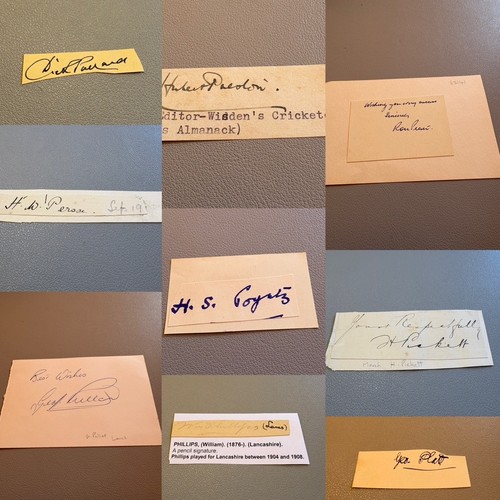 Cricket autograph surname p - autograph,
