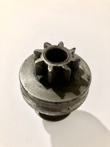 Lancia augusta tooth - augusta.,