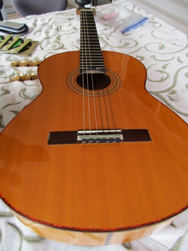 Manuel rodriguez flamenco - manuel,