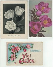Vintage Postcard - Postcard