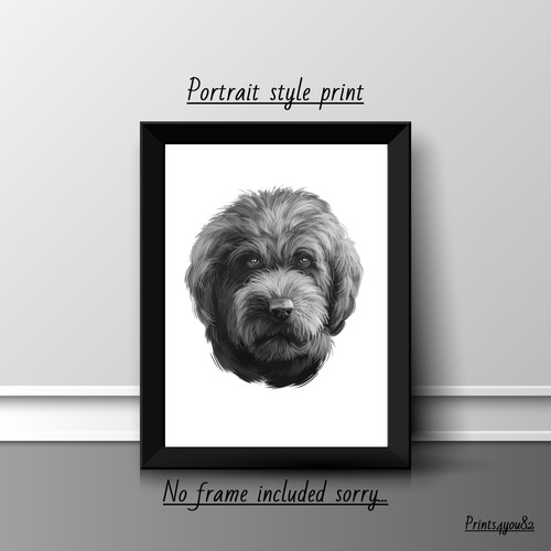 Barbet dog pet - barbet,