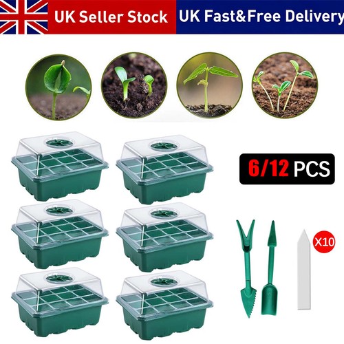 12pack 144 cells propagator - cells,