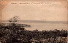 A view near Lakeside Cottages