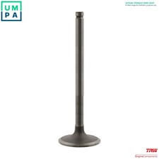4x EXHAUST VALVE 48328 FOR