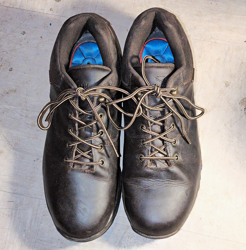 Hoggs fife brown - of,
