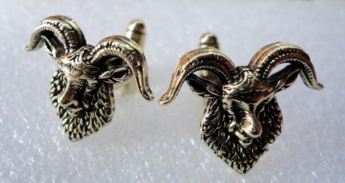 Pre owned horned ram - ram, goat