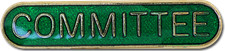 Committee Pin Badge in Green