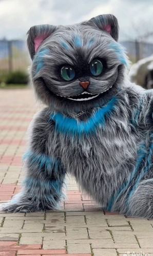 Cheshire cat mascot costume - cat,